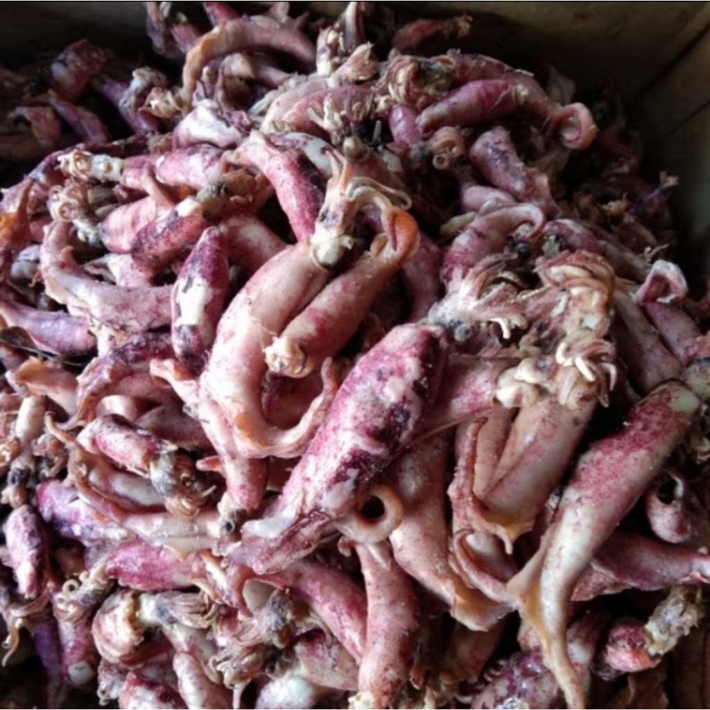 

ikan asin kering cumi Fress n segar langsung dapat dari nelayan. harga mulai 1kg. size jumbo n Beby cumi, bener2 sampe kering ya. bukan basah