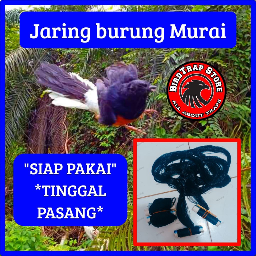 Jaring burung murai siap pakai panjang 10 meter, jebakan burung murai , perangkap burung murai, jala