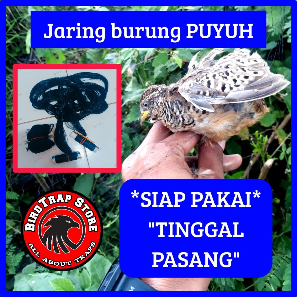 Jaring burung puyuh 10 m, jaring burung puyuh siap pakai tinggal pasang panjang 10 meter, jebakan bu
