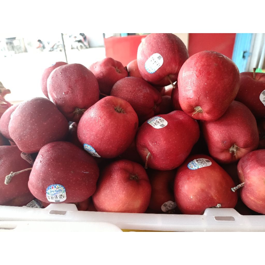 

Apel Merah 1kg