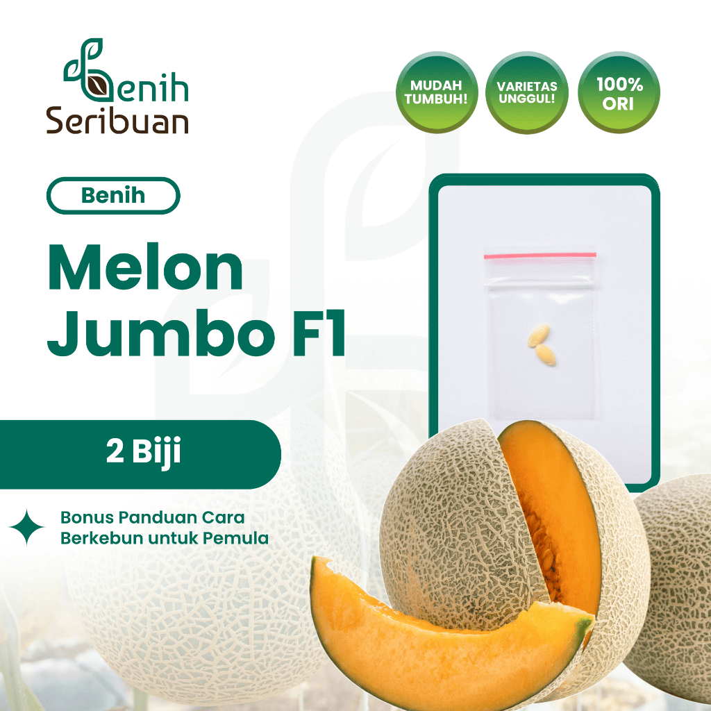 2 Benih Bibit Melon Jumbo F1 Hibrida Tanaman Buah Buahan Melon Orange Manis Super Besar Bintang Asia
