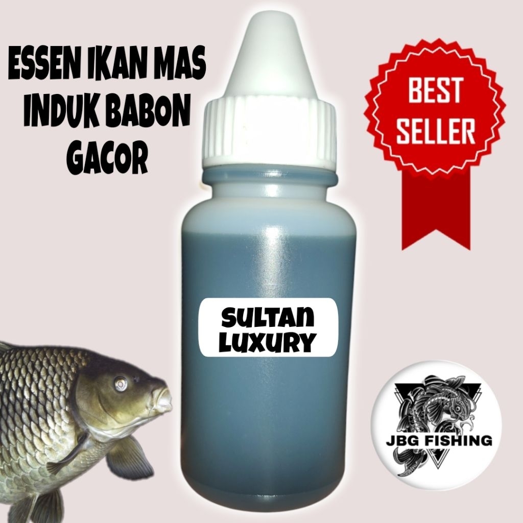 Essen Oplosan Ikan Mas Induk rame lomba galapung