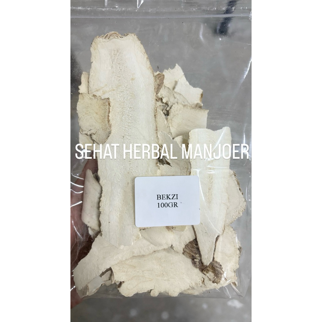 

Bai Zhi / Angelica Dahurica / Pek Ci / Bek Zi / Bek Zhi / SANGAT WANGI 100gr - 250gr