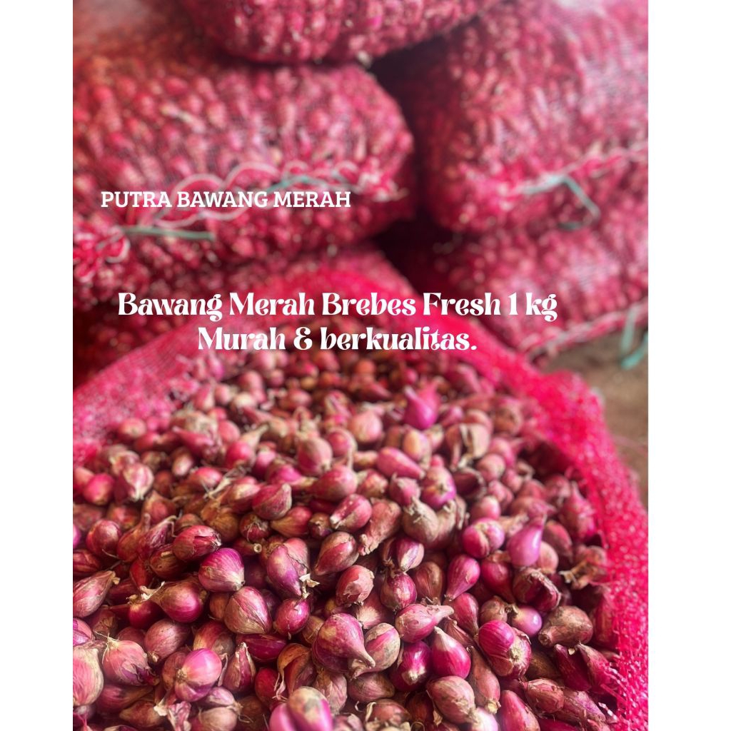 

Bawang merah brebes besar super 1 kg fresh/ bawang merah brebes Murah berkualitas