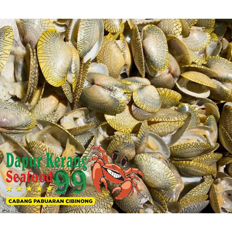 

Kerang Batik Kerang Fresh Frozen 1000gr 1 Kg