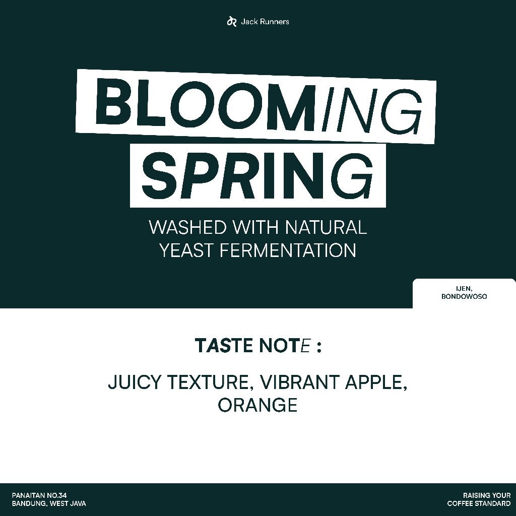 

JACK RUNNERS ROASTERY - IJEN MOSTO WASHED (BLOOMING SPRING) - ROASTED COFFEE BEANS
