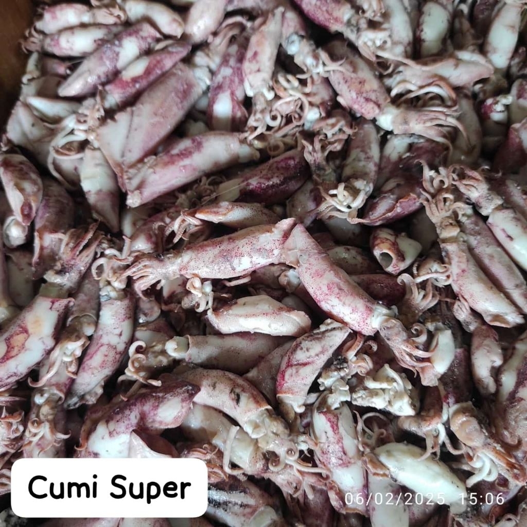

Ikan Asin Cumi Super 100gr dan 250gr – Kering Gurih Premium | Siap Goreng, Tahan Lama