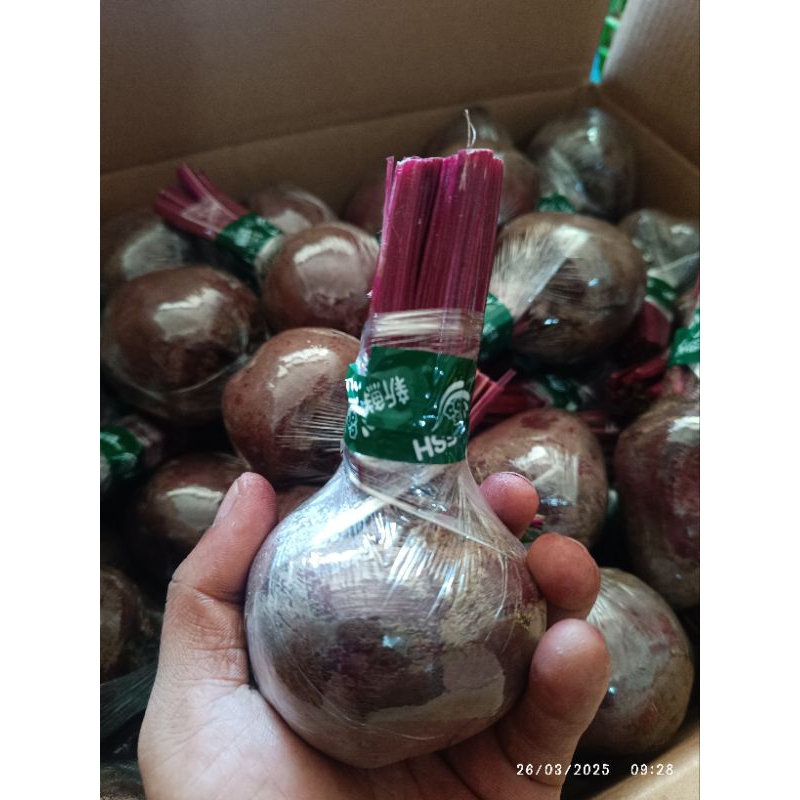 

BUAH BIT/BEETROOT SPEK MARKET 2KG FRESH