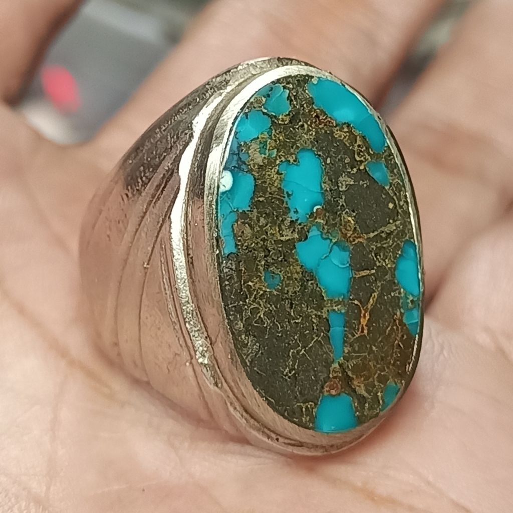 Pirus persia biru pancy urat merah