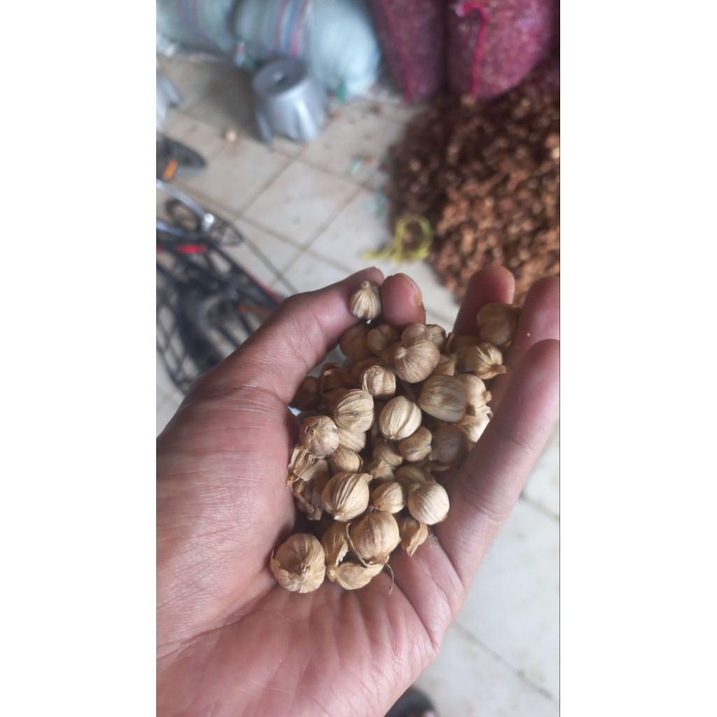 

Rempah kapulaga 1kg