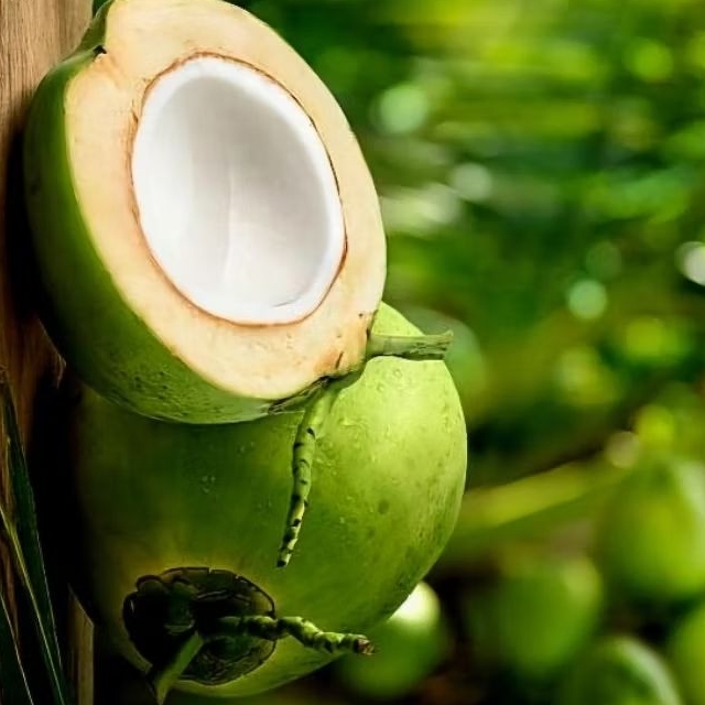

Kelapa muda/young coconuts kelapa muda utuh