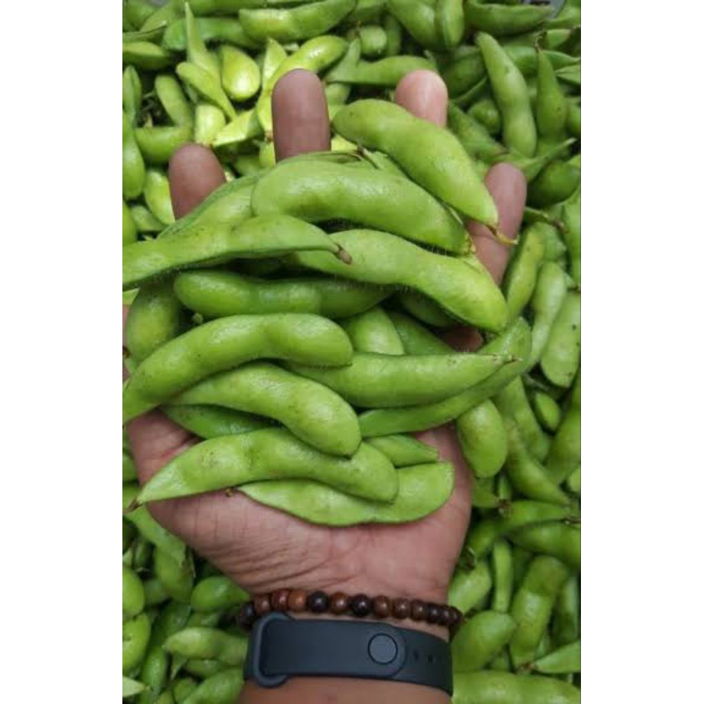 

Kacang Edamame segar Edamame Jepang