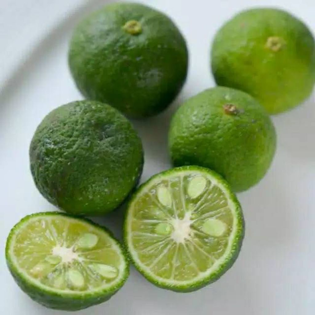 

JERUK LIMAU 1 PCS