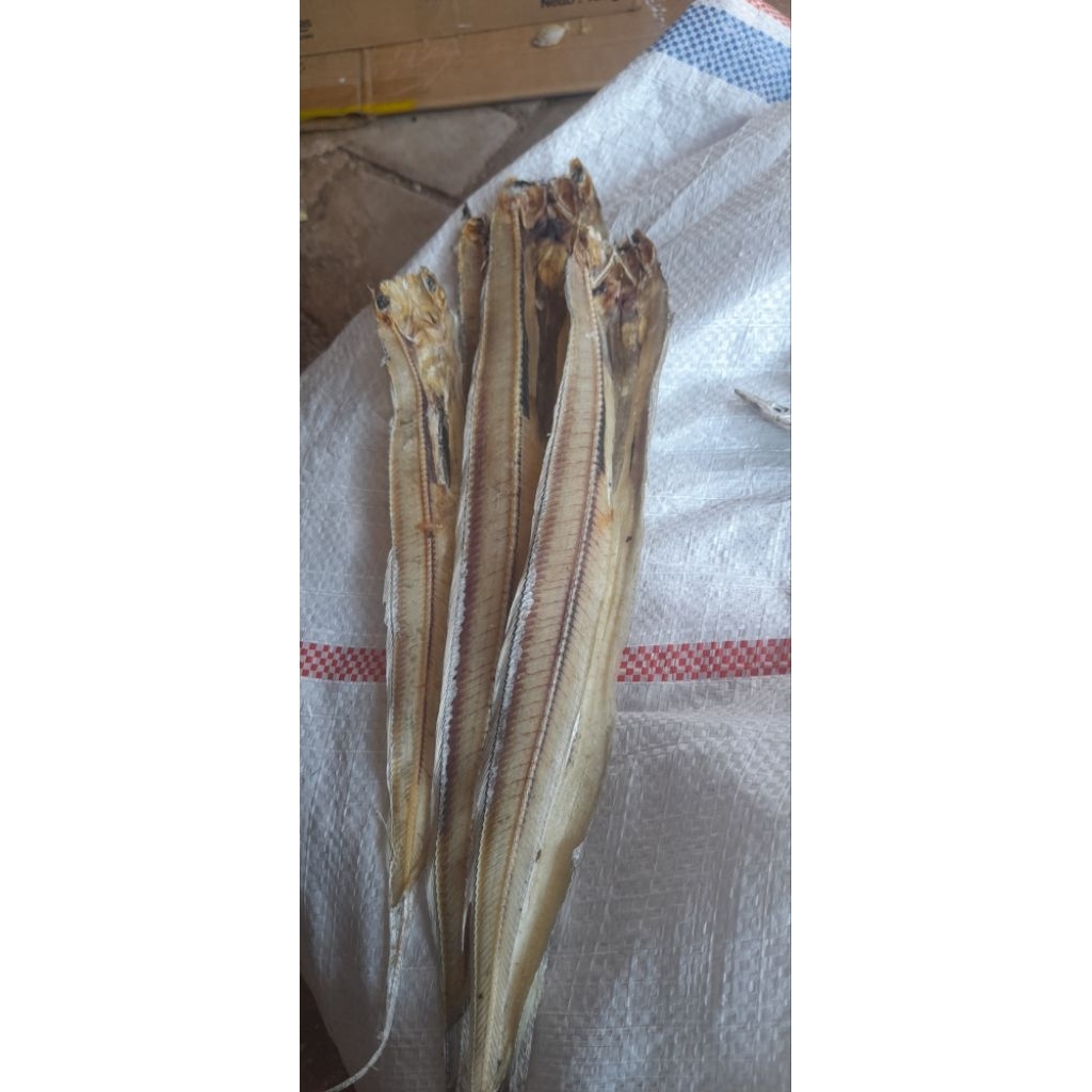 

ikan layur belah(tawar) kering
