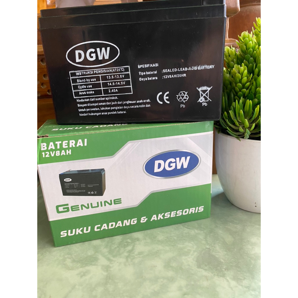 Aki Sprayer Elektrik Merek DGW Original 12V 8 AH