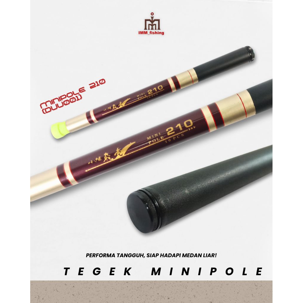 TEGEK MINI POLE