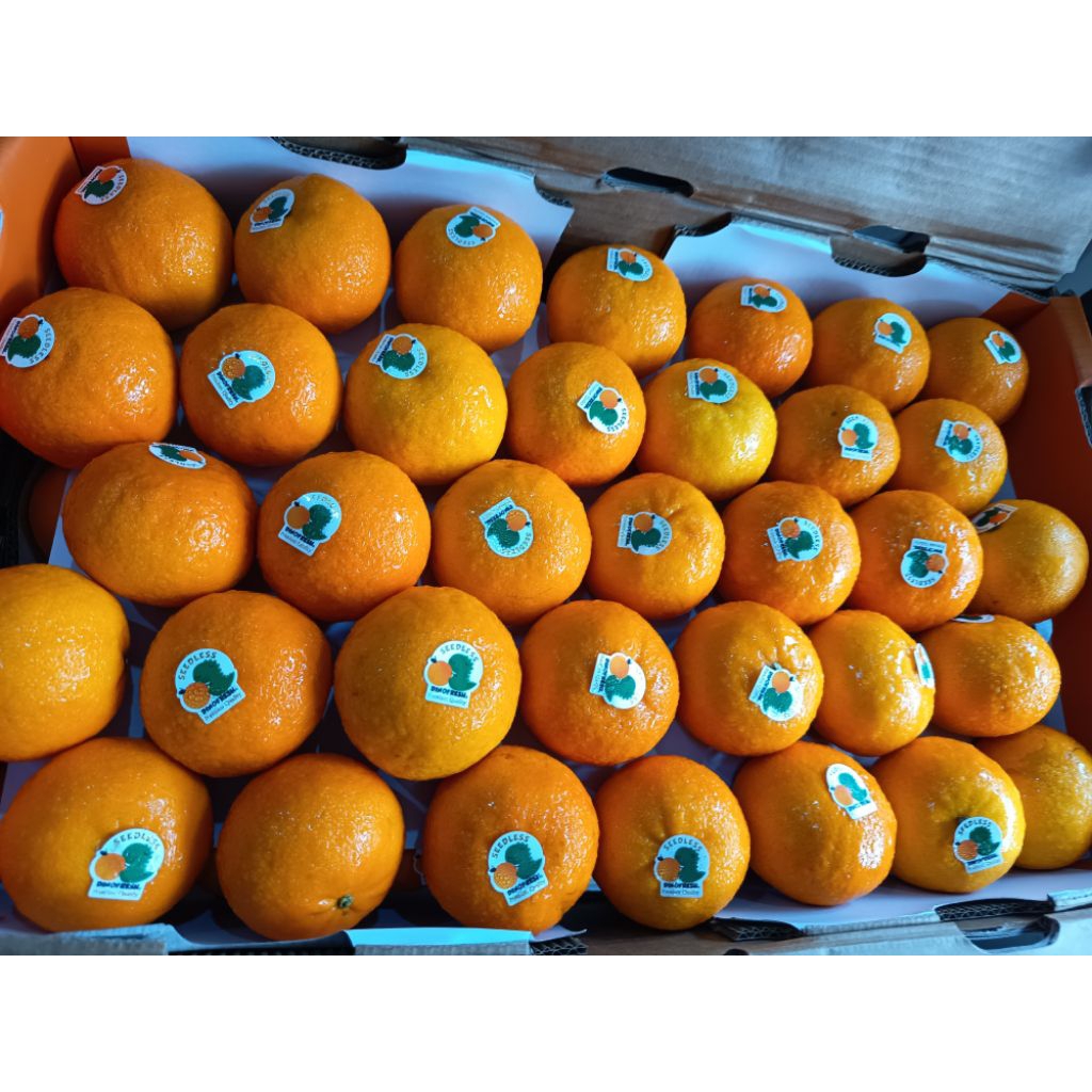 

Everyday Fruit Toko Buah online Jeruk Lemon Sunkist Valencia Ponkam Australia Makassar