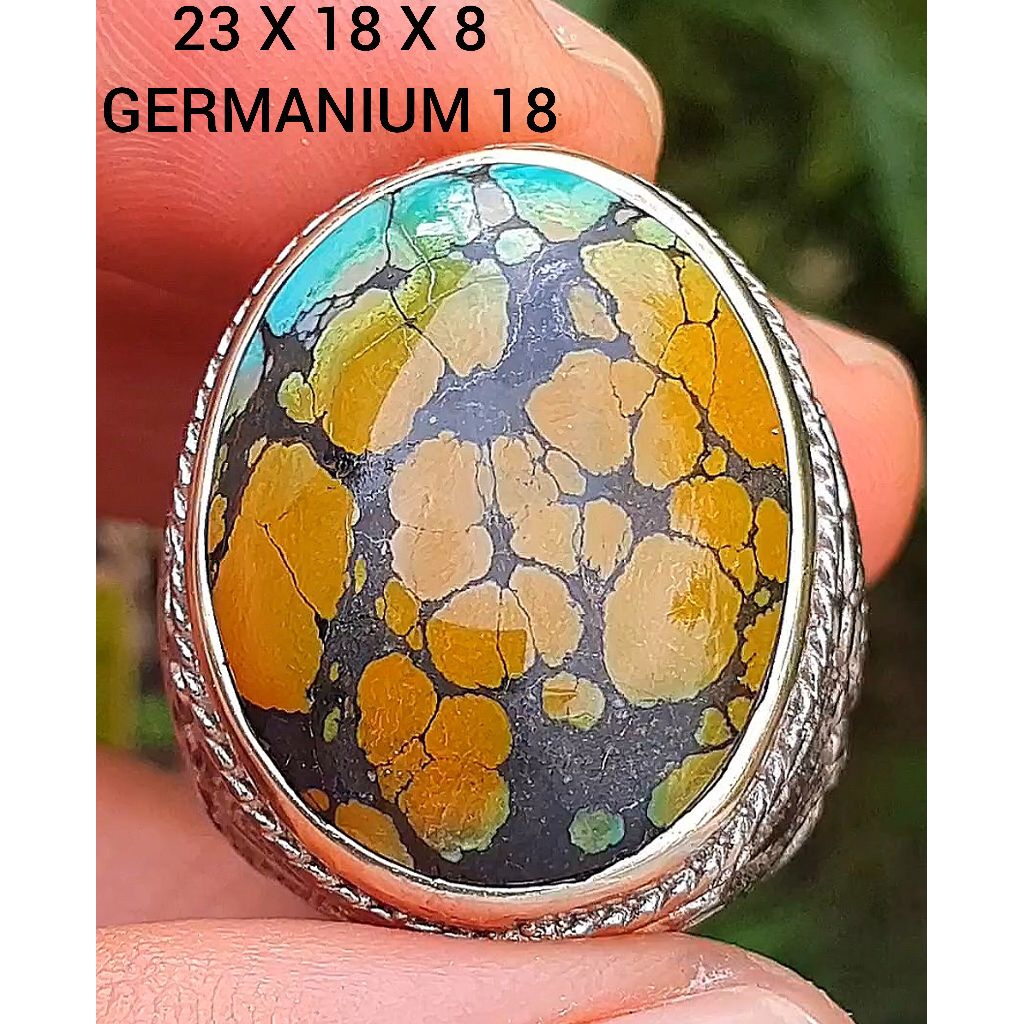 pirus Hubei lawasan Dwi color coklat toska