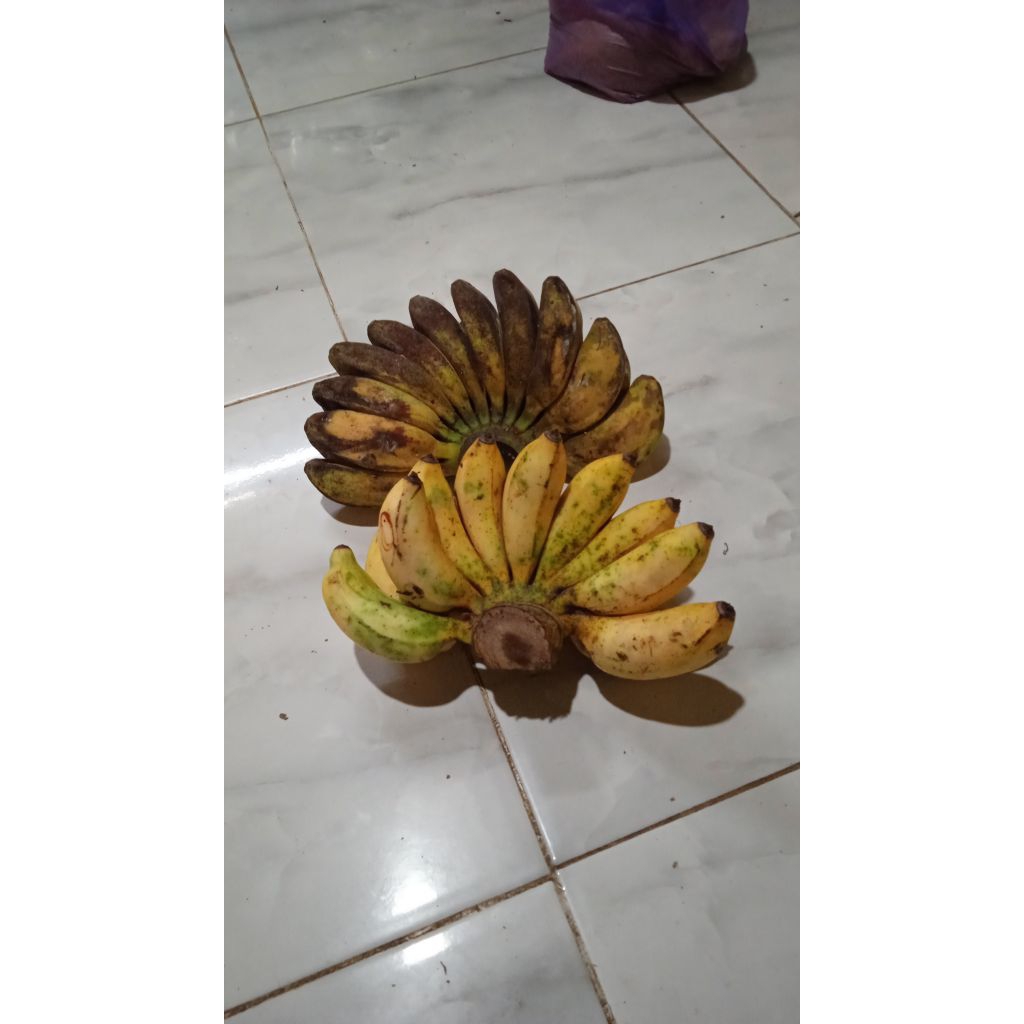 

pisang