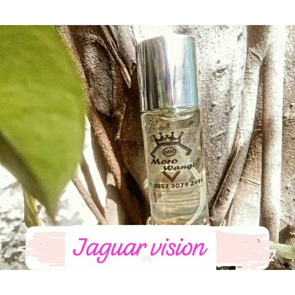 parfum jaguar vision