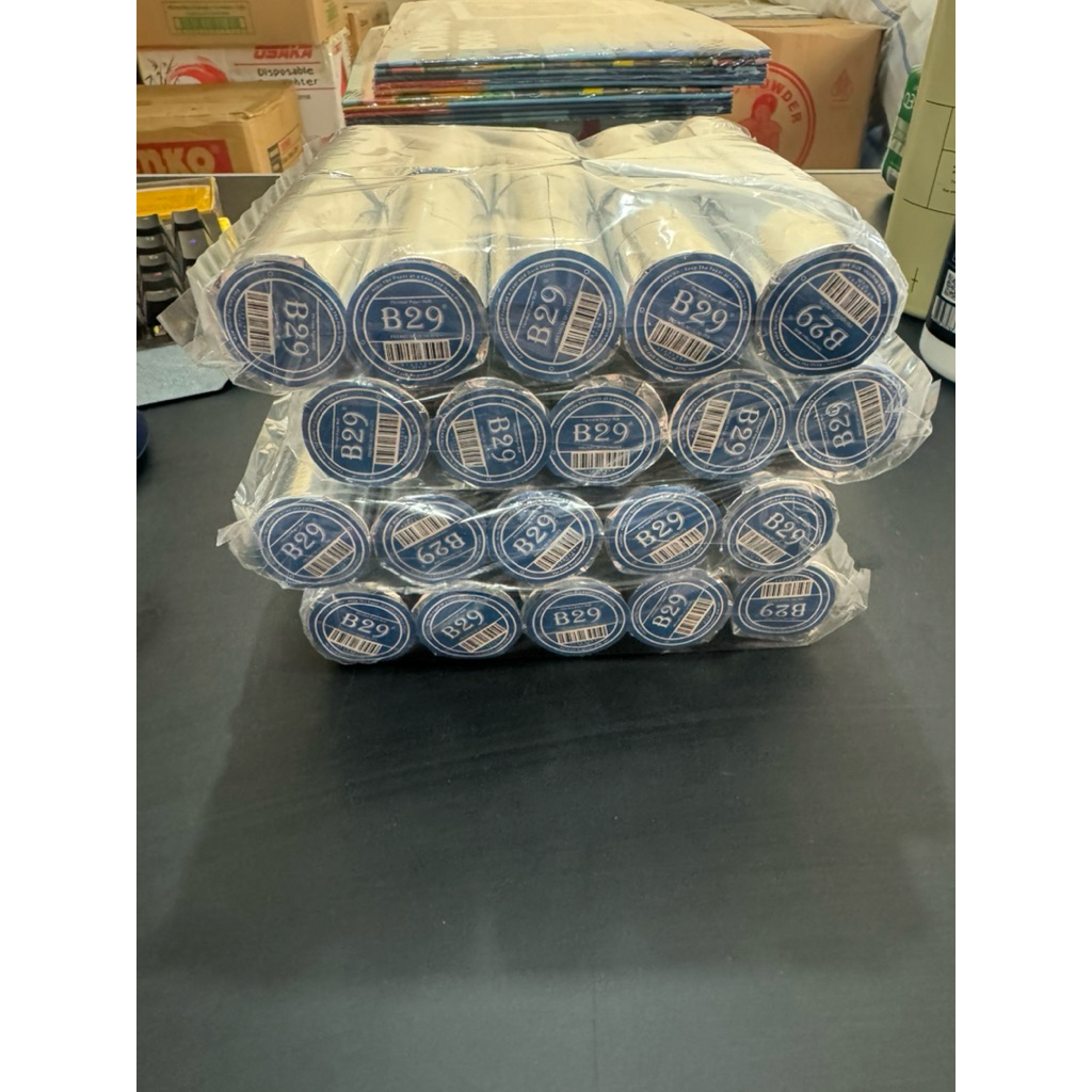 

Thermal B29 57x30 isi 10