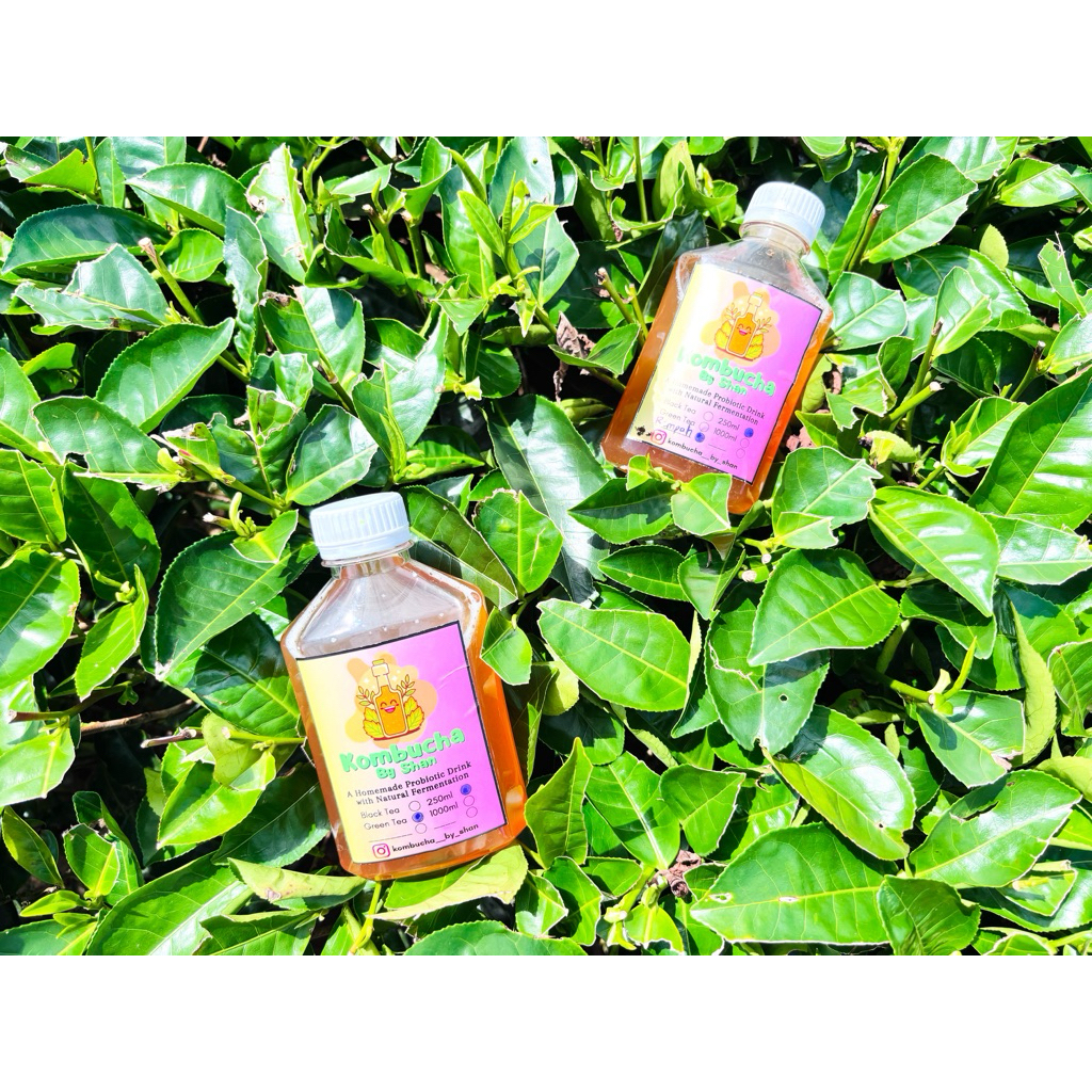 

Kombucha Probiotic Drink by Shan