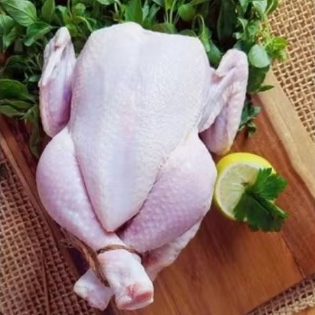 

ayam karkas broiler 1 kg potong 4/8 murah banget