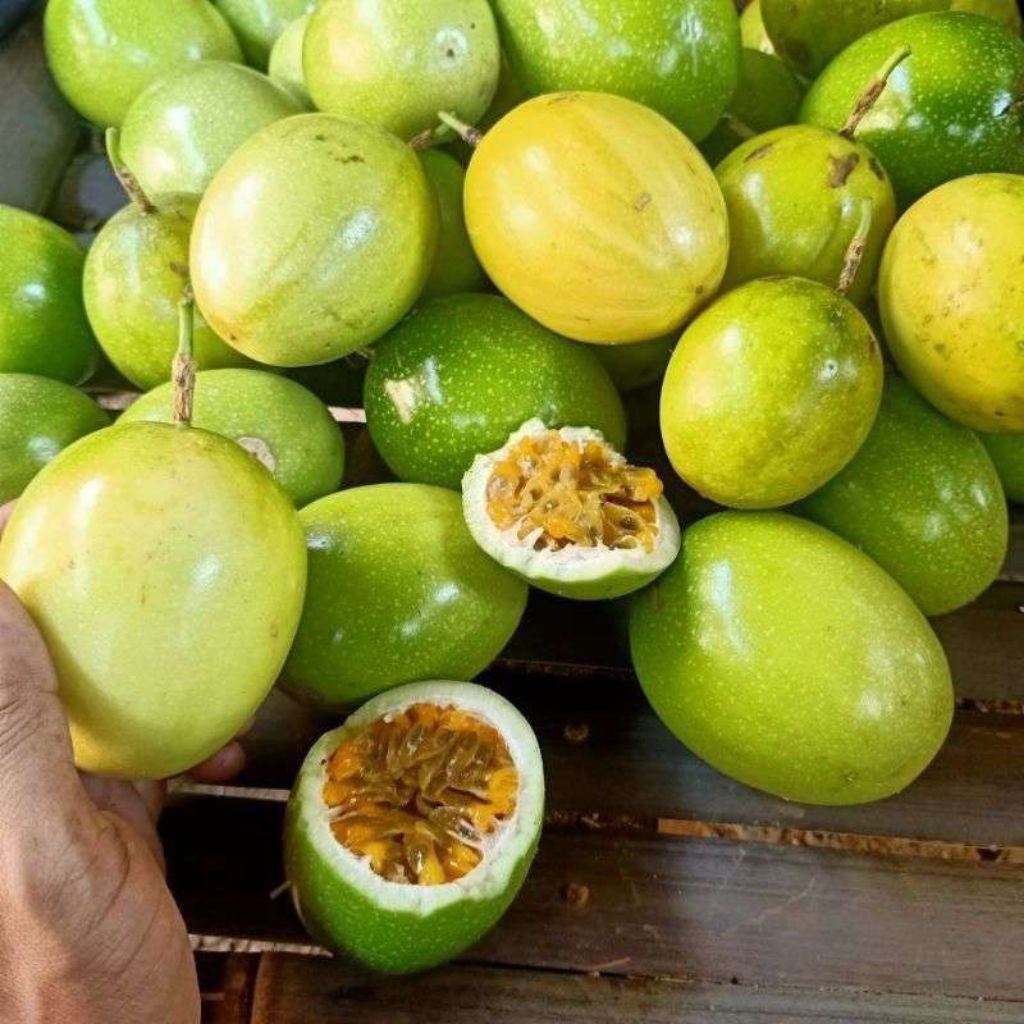 

Buah Markisa Segar 1 kg