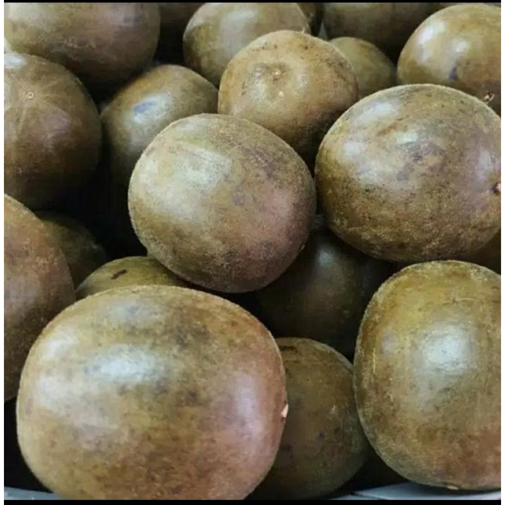 

LO HAN KUO BUAH anti panas dalam, anti flu