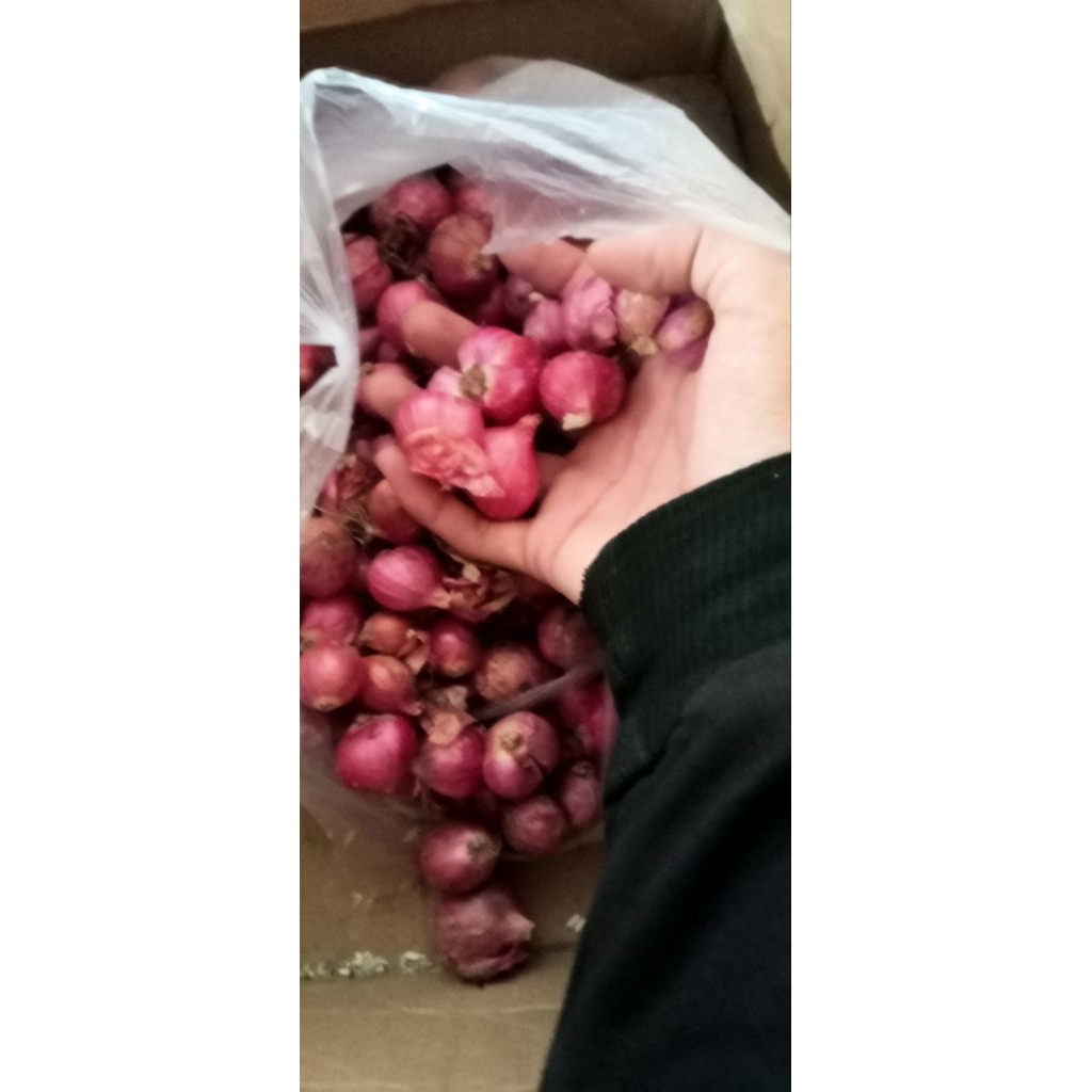

bawang merahh segarr 1/4 (250g) jatim