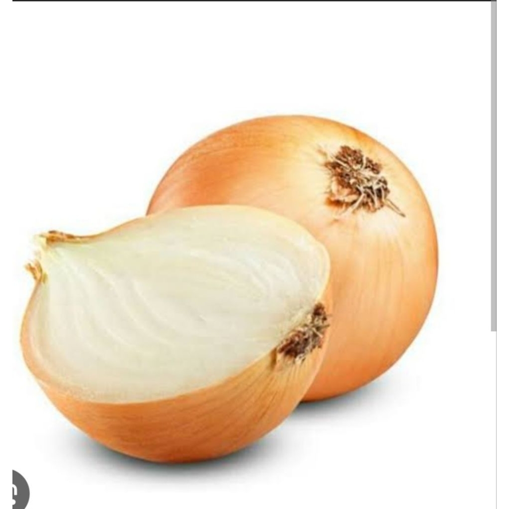 

bawang bombay per bj