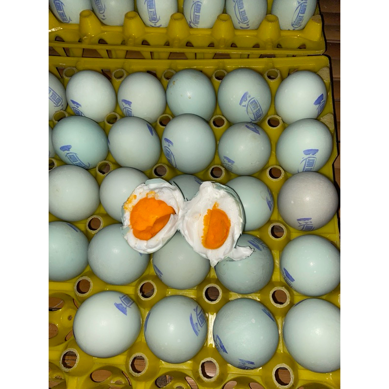 

Jual Telur bebek asing Masir besar Madura
