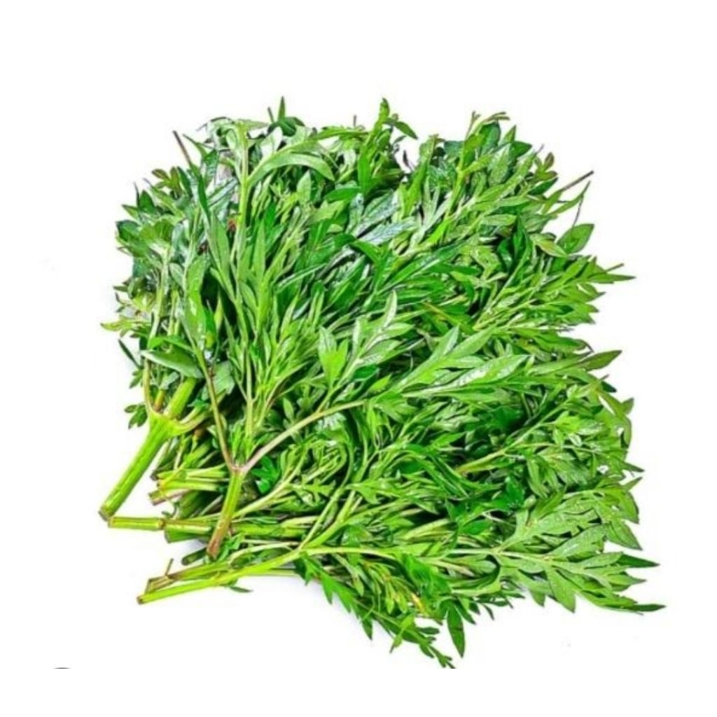 

Daun kenikir segar daun randamidang fresh 500 gram-az