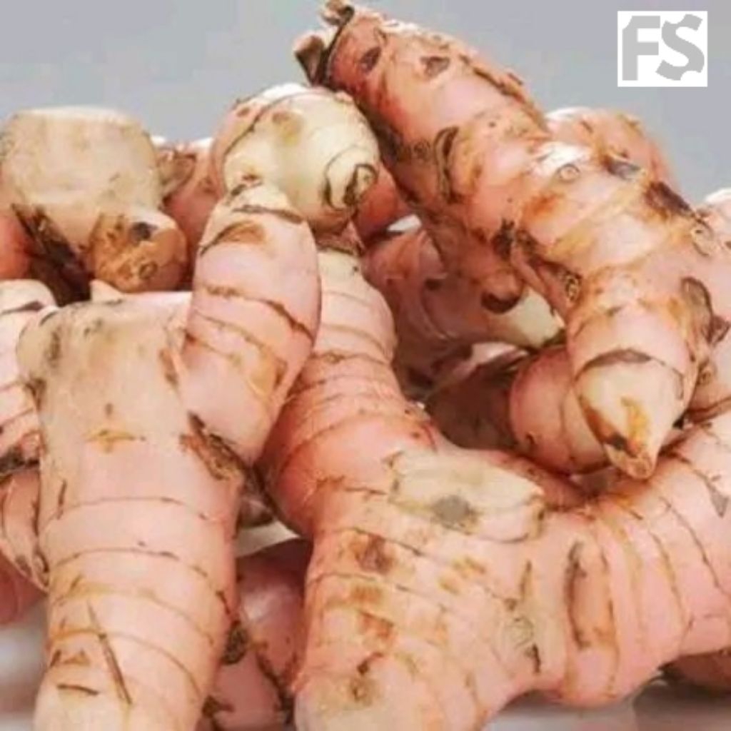 

1 kg laja - leungkuas / bahan herbal / bahan masakan