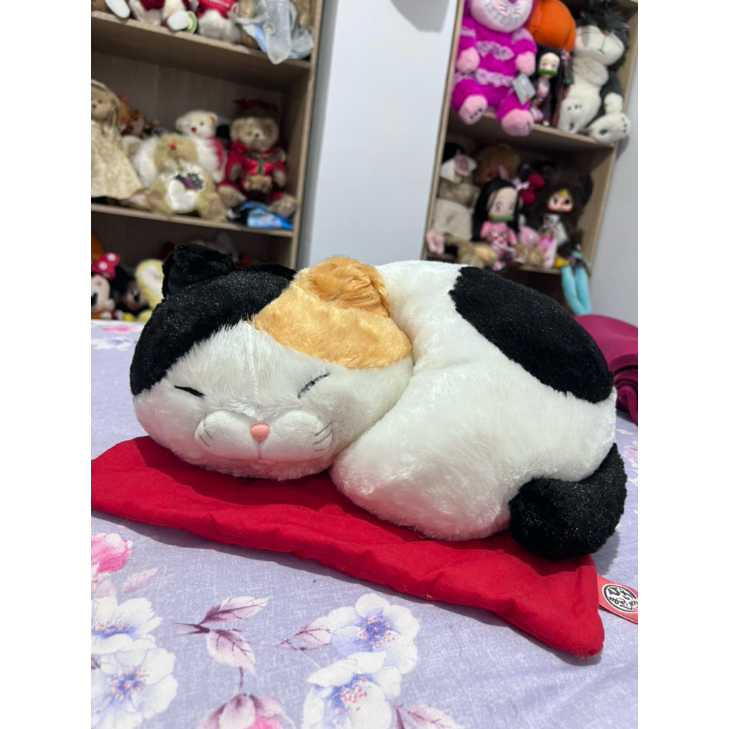 Boneka Kucing Tidur Bulu 3 Warna Amuse 33 Cm