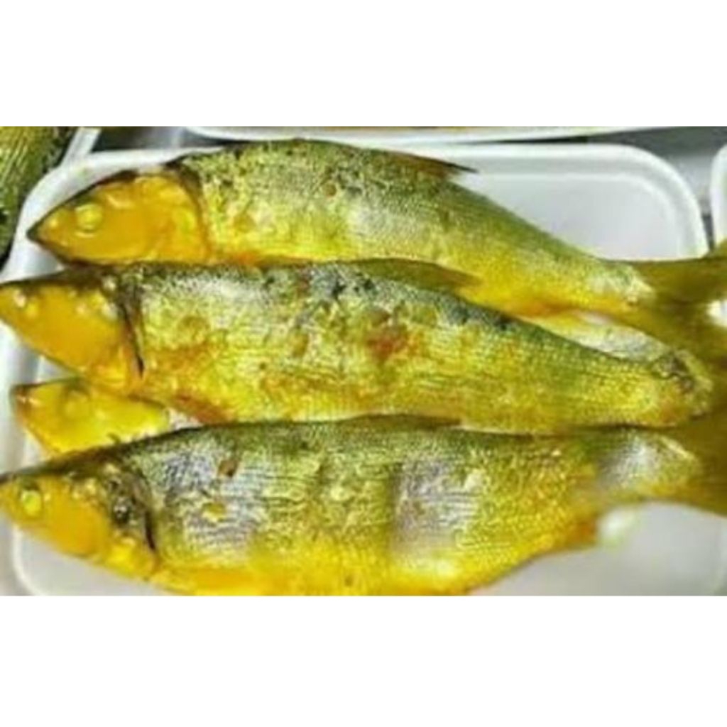 

ikan bandeng presto tulang duri lunak 1 ekor