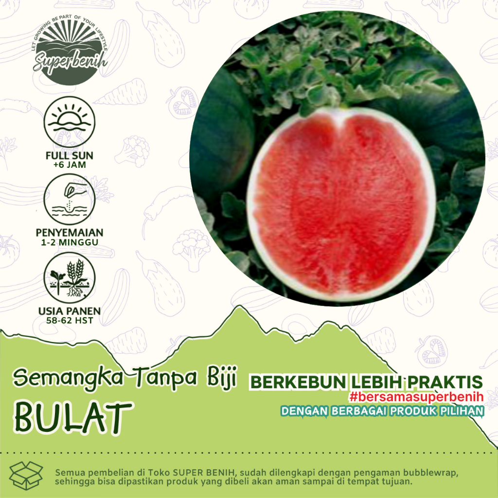 5 biji - Benih semangka Non Biji BULAT hibrida