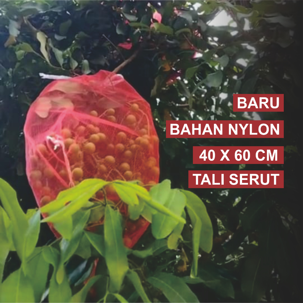 Brongsong Jaring Pembungkus Buah Kelengkeng 40x60 cm BARU