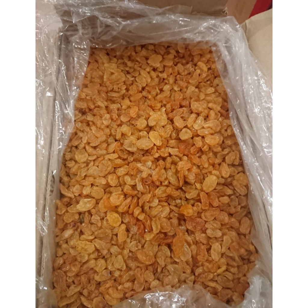

1Karton Dus 10kg Kismis Golden Raisin Kismis Asam Manis Kartonan Murah