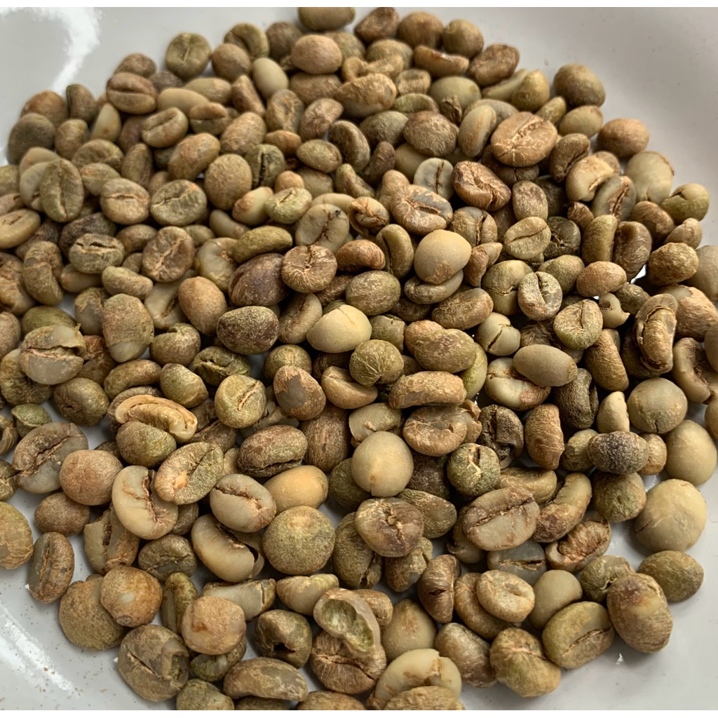 

biji coffeerobusta
