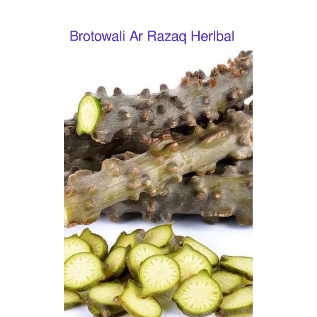 

Brotowali 100 gram,Bratawali ,Ali Ali segar