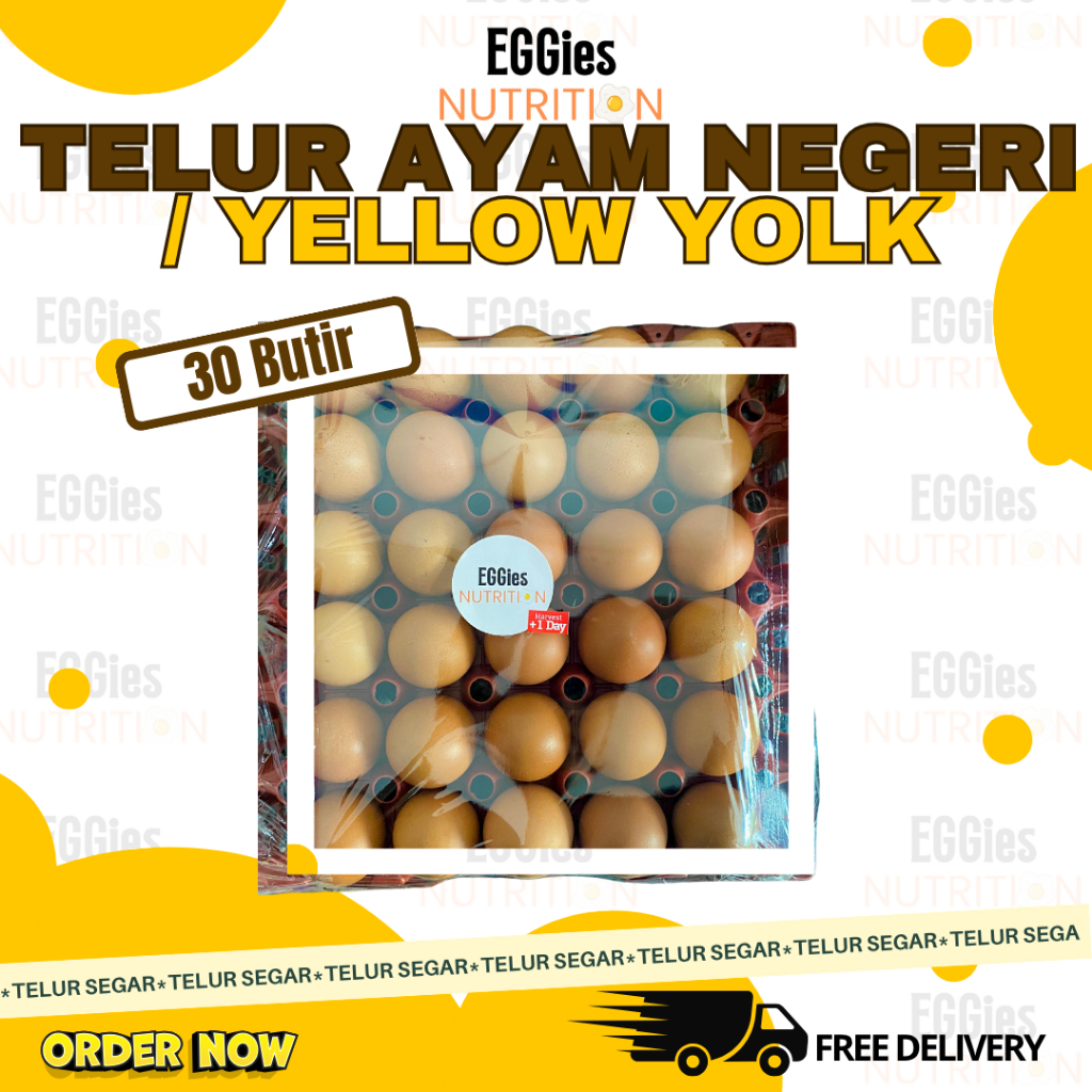 

Telur Ayam Negeri / Yellow Yolk 30 Butir