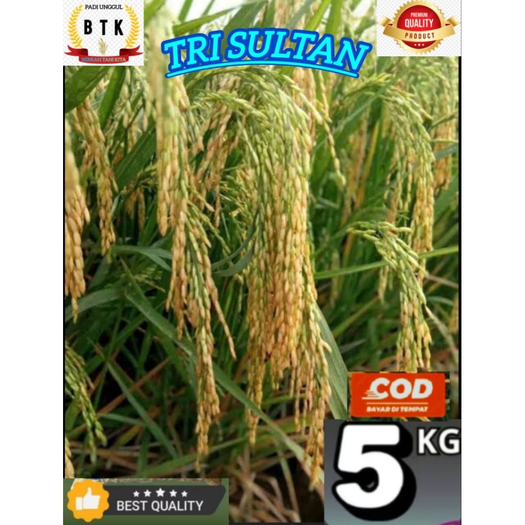 BENIH PADI TRI SULTAN KEMASAN 5KG
