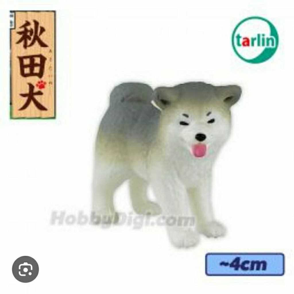 Gachapon Capsule Tarlin Akita Dog 2 (B)
