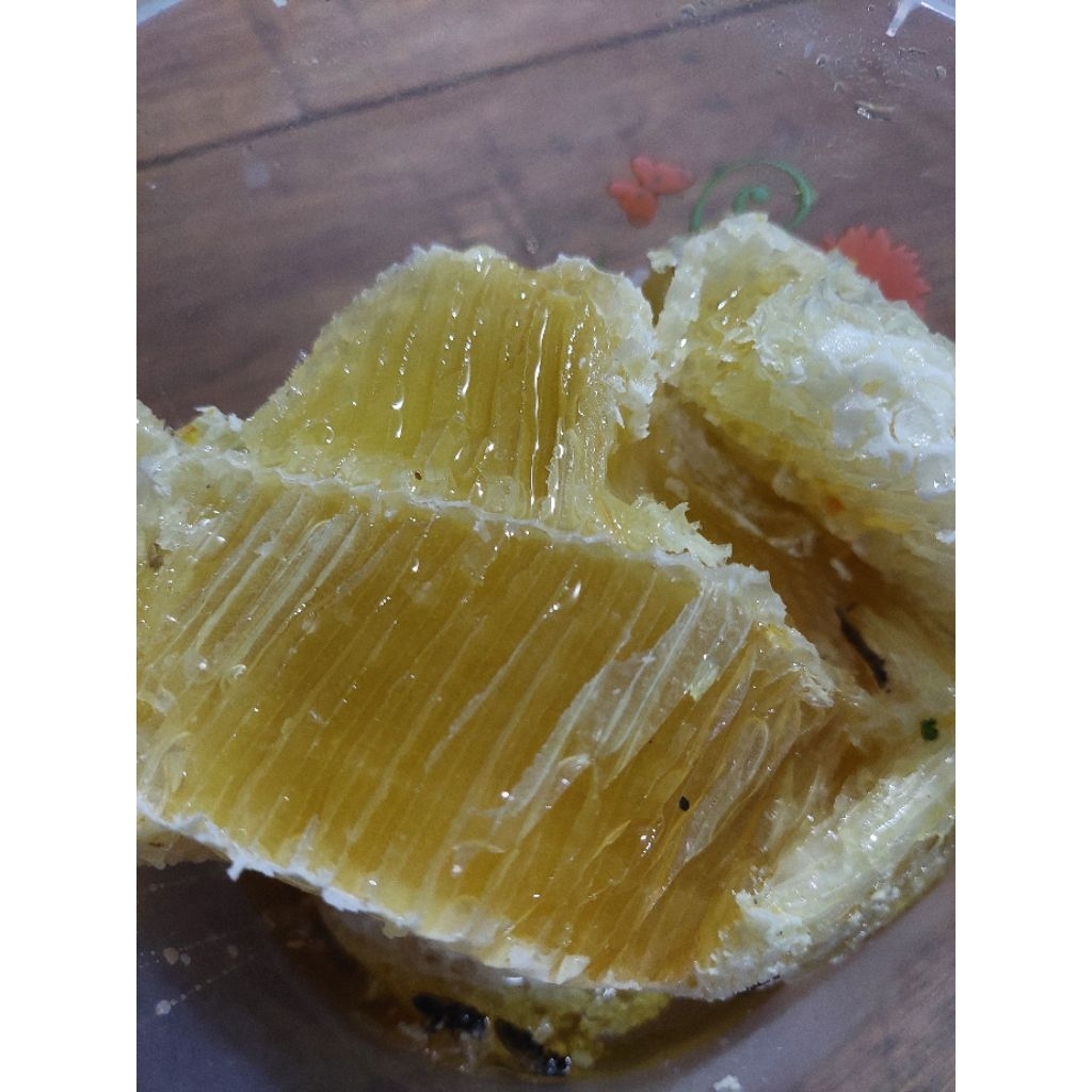 

madu sarang asli