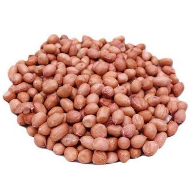 

Kacang Tanah / Peanut Kernel REPACK
