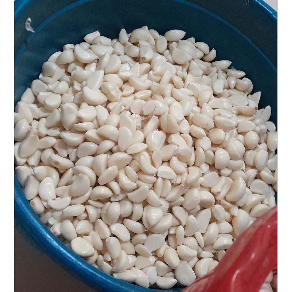 

bawang putih kupas tangan