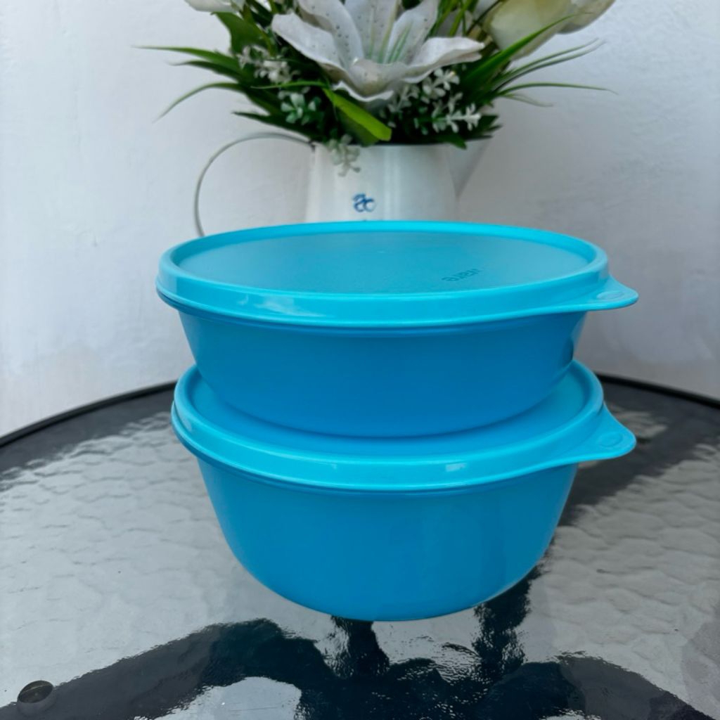 Tupperware modular bowl set 2pcs