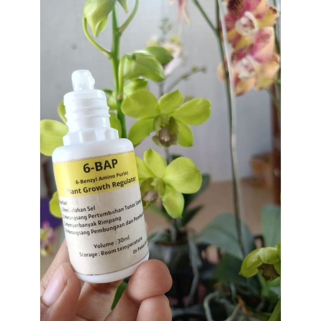 Super Murah Hormon Anggrek 6 Bap Kuning 30 Ml (Cocok Untuk Penumbuhtunas &Pembungaan Anggrek)