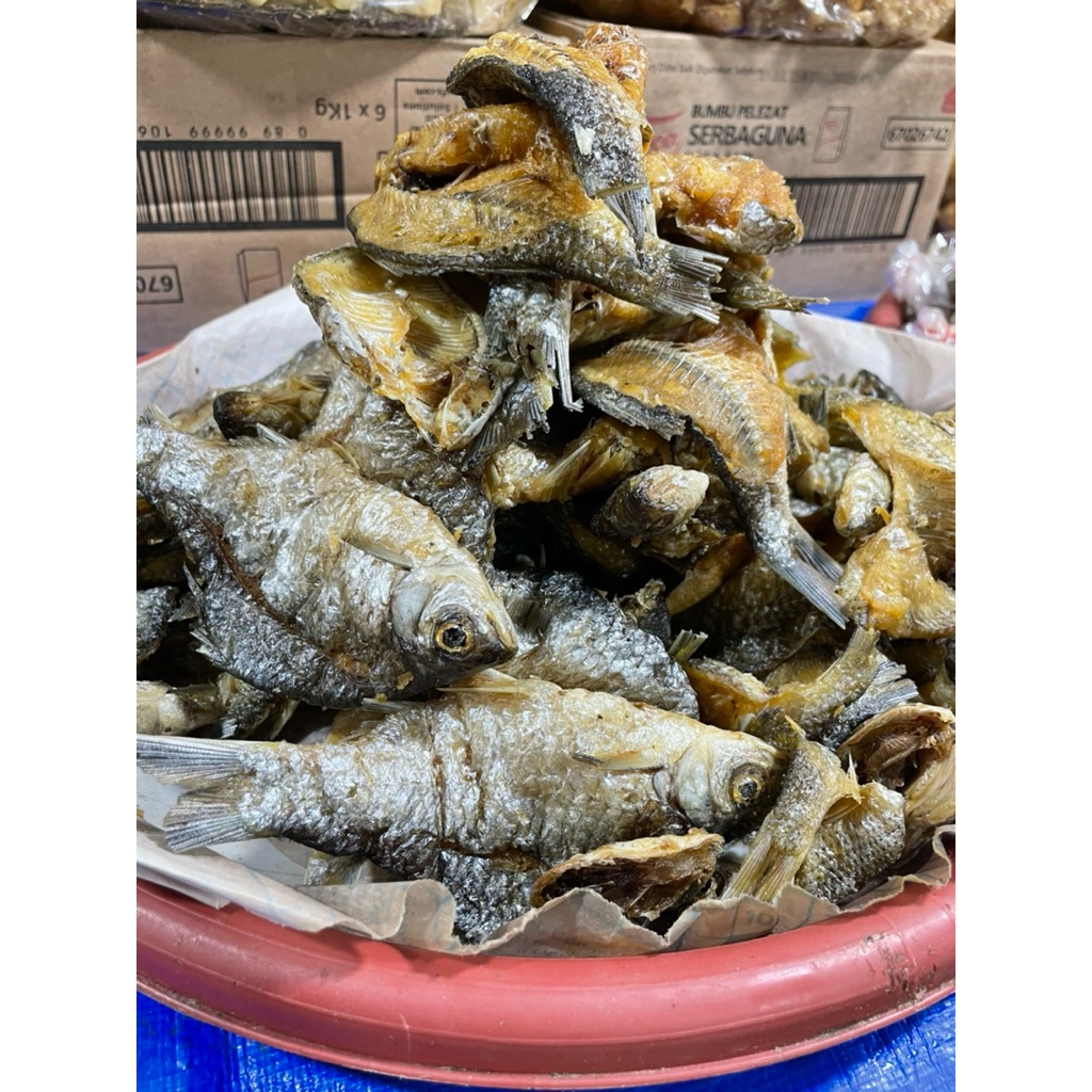 

Ikan Bilih Goreng Belah/Ikan Turiak Danau Singkarak Sumatera Barat